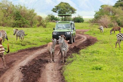 Arusha National Park