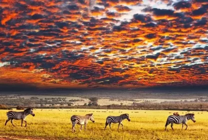 Serengeti National Park